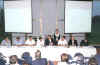 Panel1.jpg (31368 bytes)