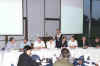 Panel3.jpg (31798 bytes)